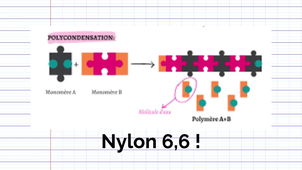 MA04 - P25 - Groupe 4