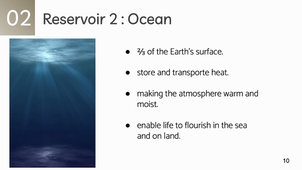 carbonCycle - video2.mov